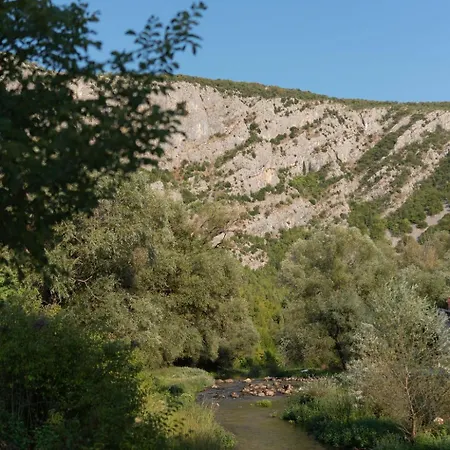 Villa B-bunica Retreat *