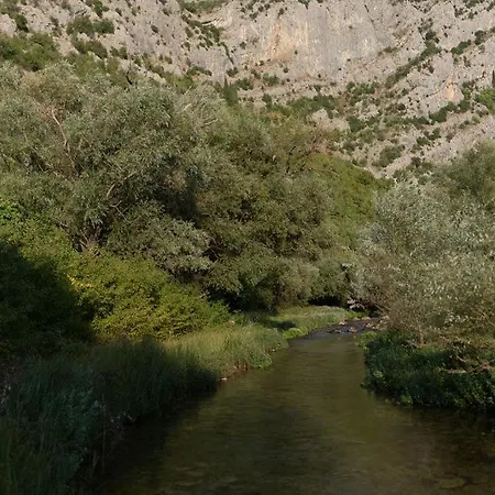 Villa B-bunica Retreat *