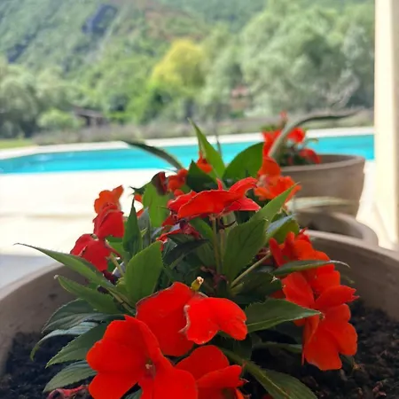 B-bunica Retreat * Malo Polje